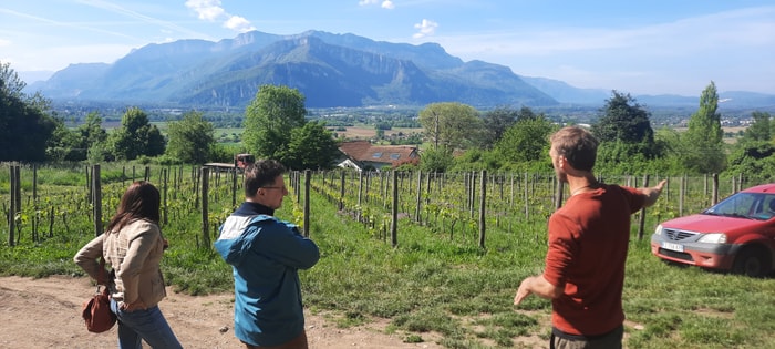 Visite oeno-géomorphologique du Domaine des Alpins et de ses « vieux cépages oubliés » installés plein sud sur un versant de l’amphithéâtre morainique de l’ancien glacier de l‘Isère édifié il y a plusieurs dizaines de millénaires à la sortie de la cluse de Grenoble/Voreppe 