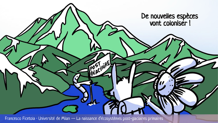 Naissance de nouvelles espèces postglaciaires