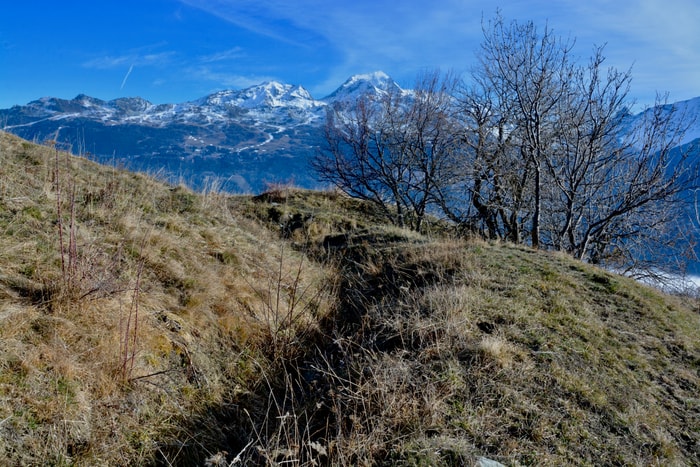 Ancien Canal des Chapelles ou Bief mort (Haute Tarentaise)